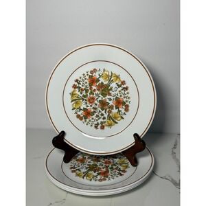 Corelle Indian Summer Dinner Plates Set of 4 Vintage Corning Floral 8.5in